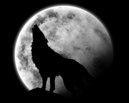 loup...